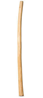 Natural Finish Didgeridoo (TW946)